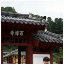 백담표고황태 이미지