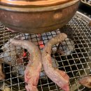 하늘돼지 이미지