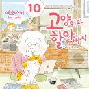 배시시 이미지