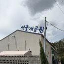 서울개공원 | 영천 애견 카페 서울개공원 : 대구 근교 카페, 대형견 소형견 공간 분리, 애견 수영장