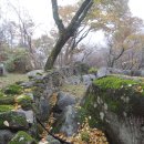 순천-25호 이미지