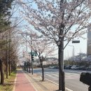 주식회사시소 이미지