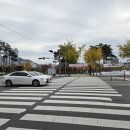 시민공원 북문 앞 횡단보도 이미지