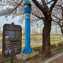 안양천 | 안양천 벚꽃 후기 가산디지털단지역 벚꽃길 가는길 정리 (아기랑 유모차 산책 가능한 봄 코스)