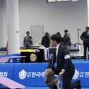 넥서스켄넬 | 강아지분양 대구 서구 비산동 넥서스켄넬 위치 가격 후기