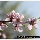 성덕농장 이미지