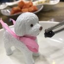 청보리낙지마당 이미지