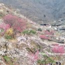 강변의수채화 이미지