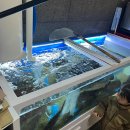 세양청마루(아) 이미지