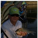 두메낚시터 이미지