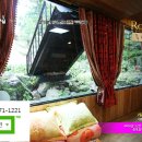 은혜펜션 이미지