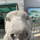 인천 차이나타운 총정리ㅣ주차,위치,분위기,후기까지