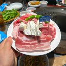 부산면관 유성봉명점 | 대전유성구맛집 부산갈매기 대전봉명점 웨이팅 핫플 방문 후기
