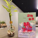 대산 태권도장 | 박서련 작가 첫 청소년 소설집 &lt;고백루프&gt;