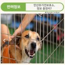 도그마루 강아지고양이 안산점 이미지