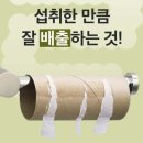비우다 | 잘록 비우다 공구 차전자피 변비 효과 후기 공유