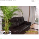 [가구싸게파는곳] 이다가구 카페구매후기 6월 당첨자들의 글을 감상해 보아요.