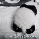 칸토천안 이미지