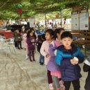 화진초교병설유치원 이미지
