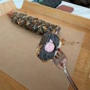 바닐라PC | [포항/송라] 오딘카페 바다 멍 때리기 최고 .ᐟ 브런치 먹고 온 솔직 후기