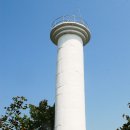 쑥섬(봉도) Daum카페