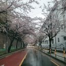 영도국민체육센터 이미지