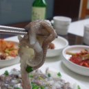 고흥녹동세발낙지 이미지