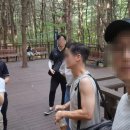 무장애숲 | 독서모임 멤버들과 함께한 우면산 무장애숲길 트레킹 후기