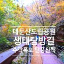수락리약수터 | 논산 단풍 놀이 대둔산 수락폭포 수락계곡 다녀온 후기