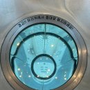 한빛미디어 | 대전 엑스포 과학공원 한빛탑 음악분수 후기