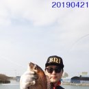 만정새우