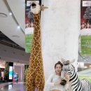 퍼플트리