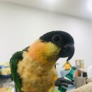 가든조류원 이미지