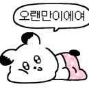 내몸디자인하다