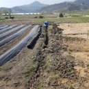 중선농장 이미지