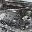 브라더카센타 이미지