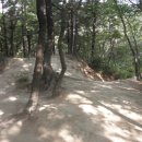 할렐루야농장 이미지