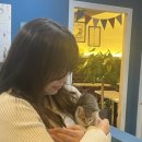 테인566 이미지