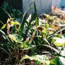 내성지구대 이미지