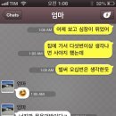 비올레띠 이미지