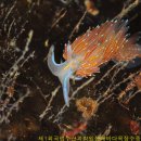 수산목장 이미지