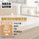 황토코리아협동조합 이미지