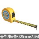 버드 - 삼척시 척주로 10 | 버드
