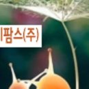 소미스토어