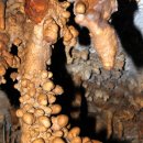 정선축사 이미지