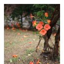 풍경운동장 이미지