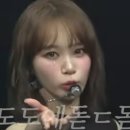 도도독 이미지