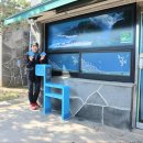 제주 올레길 8코스 이미지