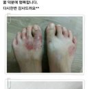 익은꿀 이미지