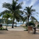 로얄헬스크럽 | 2022 나트랑(3)